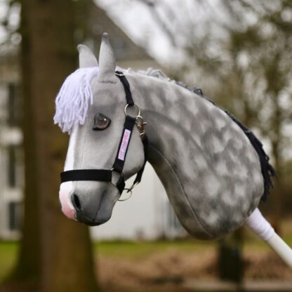 Hobbyhorse 'FT Quicksilver'